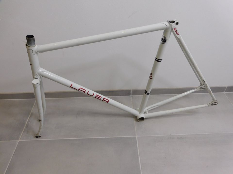 Bahnrad / Pista / Track "Claus Lauer" Campagnolo RH 53 cm in Dortmund