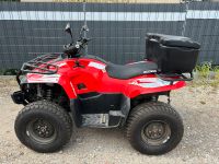 Quad ACCESS AMX 7.46 LOF Sachsen-Anhalt - Gräfenhainichen Vorschau