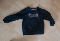 Staccato Pullover Gr. 104/110 Niedersachsen - Dransfeld Vorschau