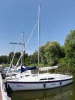 Mac Gregor 26 inkl. Trailer zu verkaufen, Segelboot Niedersachsen - Bad Zwischenahn Vorschau