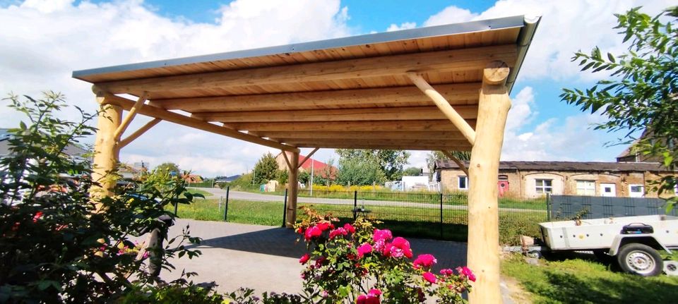 Terrassenüberdachung Carport Überdachung Gartenpavillon in Berlin