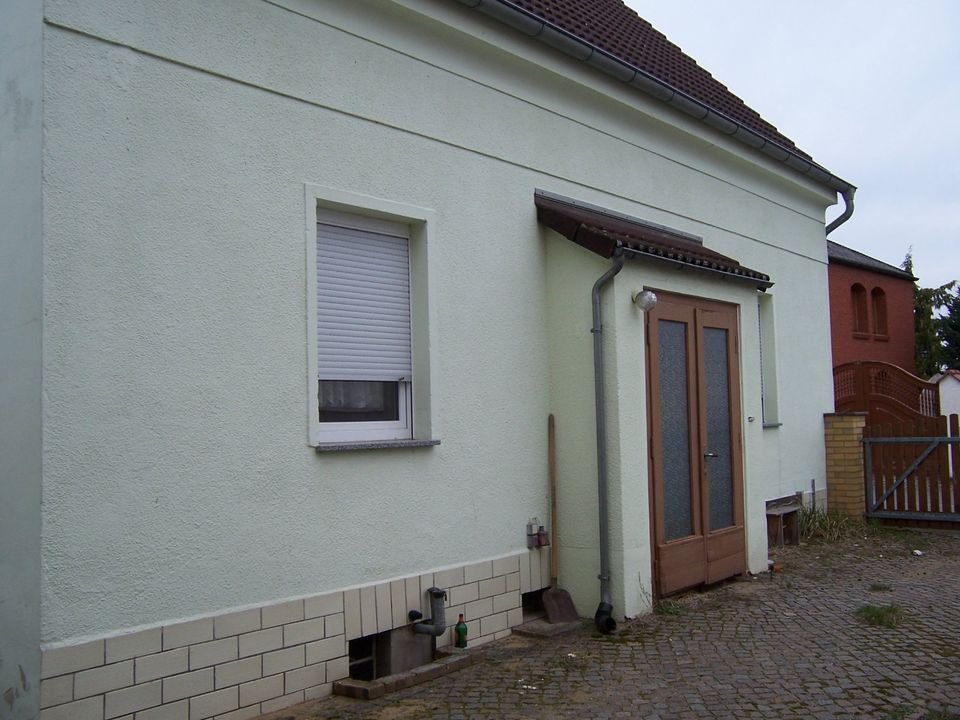 Einfamilienhaus in ländlicher Gegend mit Grundstück in Dommitzsch