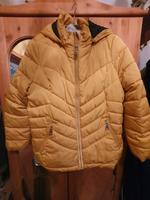 Winterjacke gelb Cecil Bayern - Bad Rodach Vorschau