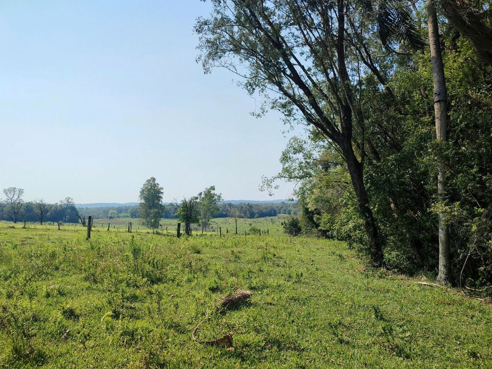 Zwei Hektar Grundstück im grünen Independencia / Paraguay in Bad Münder am Deister