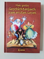 Mein großes Geschichtenbuch zum ersten Lesen, Kinderbuch Dresden - Pieschen Vorschau