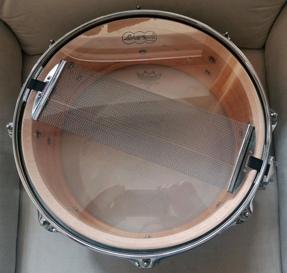 Slingerland 14x5,5 Radio-King Kessel / Rogers-Hardware Snare Drum in Osterholz-Scharmbeck