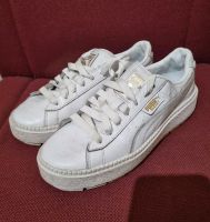 Puma Schuhe Gr.39. Nordrhein-Westfalen - Lübbecke  Vorschau