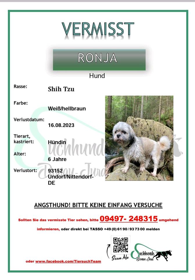 HUND VERMISST in Nittendorf 