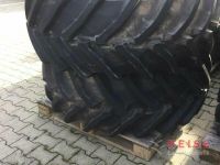Trelleborg 540/65R30 TM 800 Reifen Nordrhein-Westfalen - Lippetal Vorschau