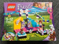 LEGO Friends 41300 Welpenmeisterschaft Nordrhein-Westfalen - Freudenberg Vorschau