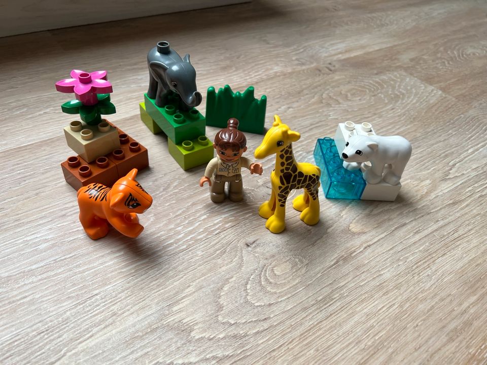 Lego Duplo Zoo Tiere 4962 Tierbabys Elefant,Eisbär, Giraffe,Tiger in Lindlar