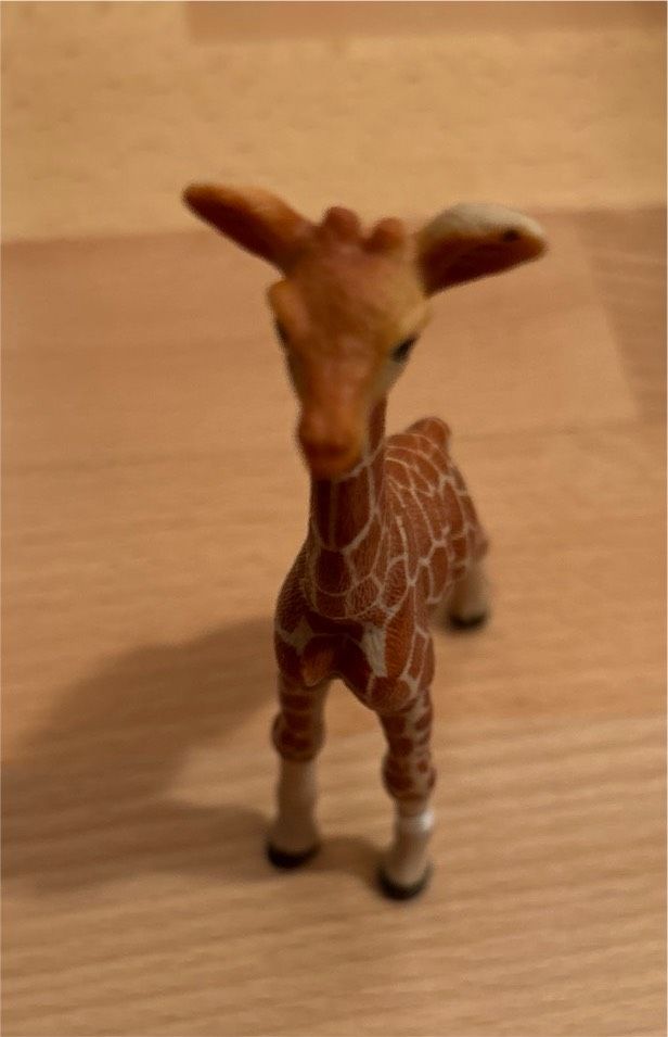 Giraffe, Schleich, ca. 12 hoch in München