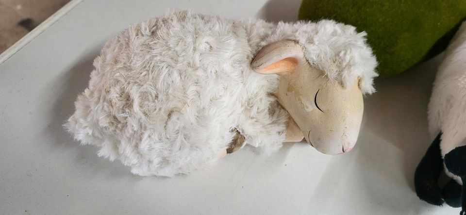 Schaf, Keramik + Fell Trödelmarkt? Schaffans Nordsee in Bergen auf Rügen