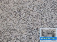 Granit BIANCO SARDO, grau beige weiß, Granitfliesen Fliesen Boden Bayern - Haibach Unterfr. Vorschau