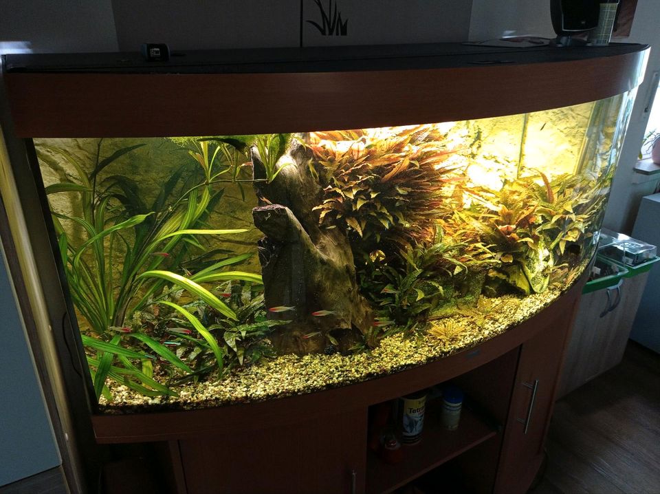 Aquarium Juwel Vision 450 in Beckum