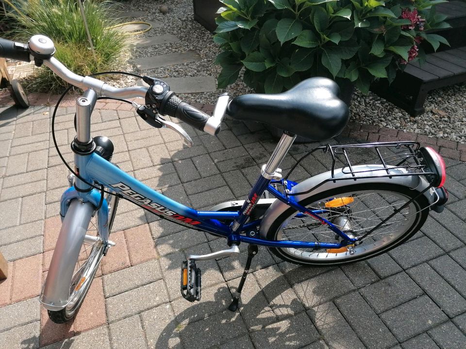 Fahrrad Pegasus 20 Zoll in Schwülper