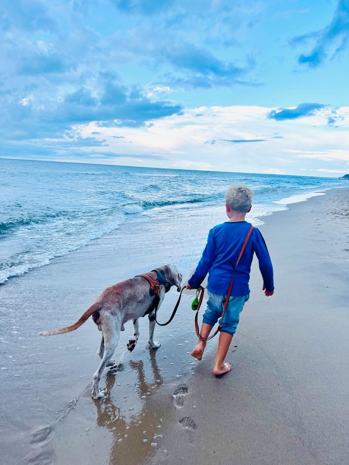 Urlaubs Hundebetreuung nahe Jena Hundesitting in Altenberga