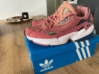 Adidas Falcon Bochum - Bochum-Nord Vorschau