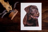 Hundeportrait, Labrador, handgezeichnet, realistisch,Tierportrait Schleswig-Holstein - Oldendorf (Holstein) Vorschau