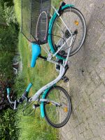 Fahrrad 24 Zoll Mädchen Niedersachsen - Steinfeld Vorschau