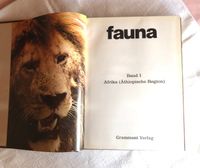 Buch über Afrika Brandenburg - Rhinow Vorschau