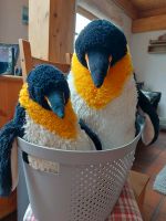 Pinguin Brüder , Stofftiere Köln - Porz Vorschau