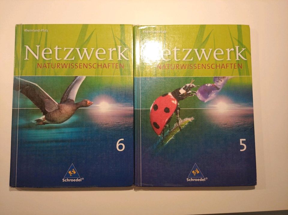 Netzwerk Naturwissenschaften 5 & 6 in Worms