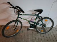 Erwachsenen Fahrrad 24 Zoll Mountainbike Baden-Württemberg - Gundelsheim Vorschau