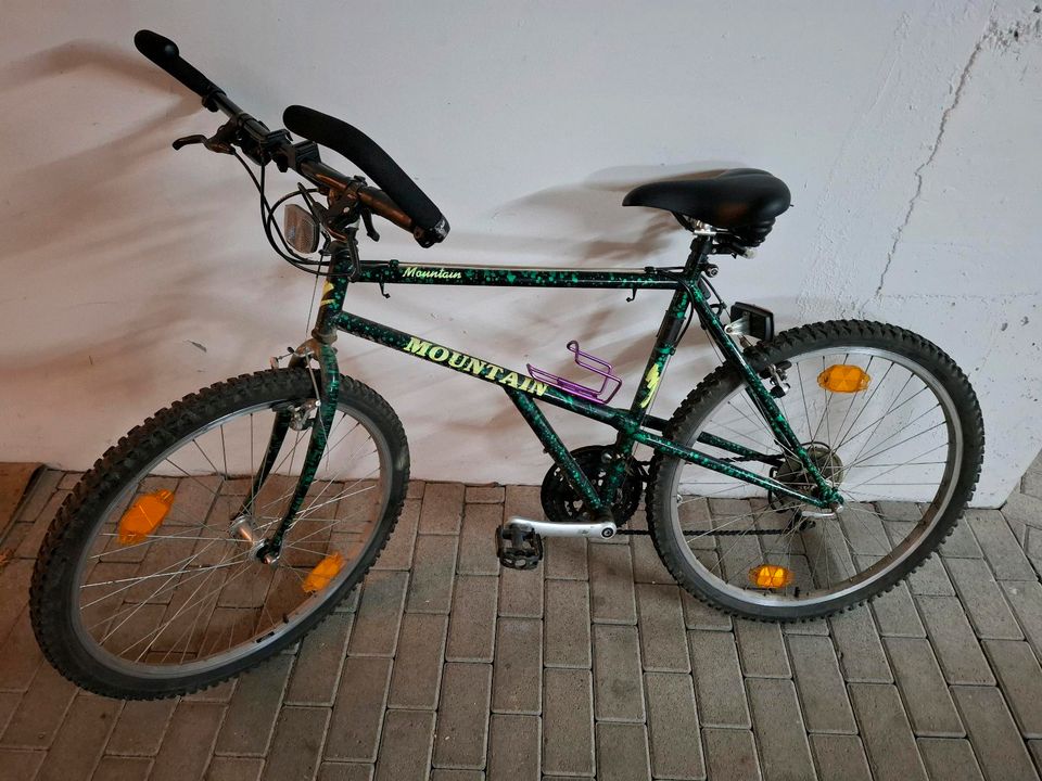 Erwachsenen Fahrrad 24 Zoll Mountainbike in Gundelsheim