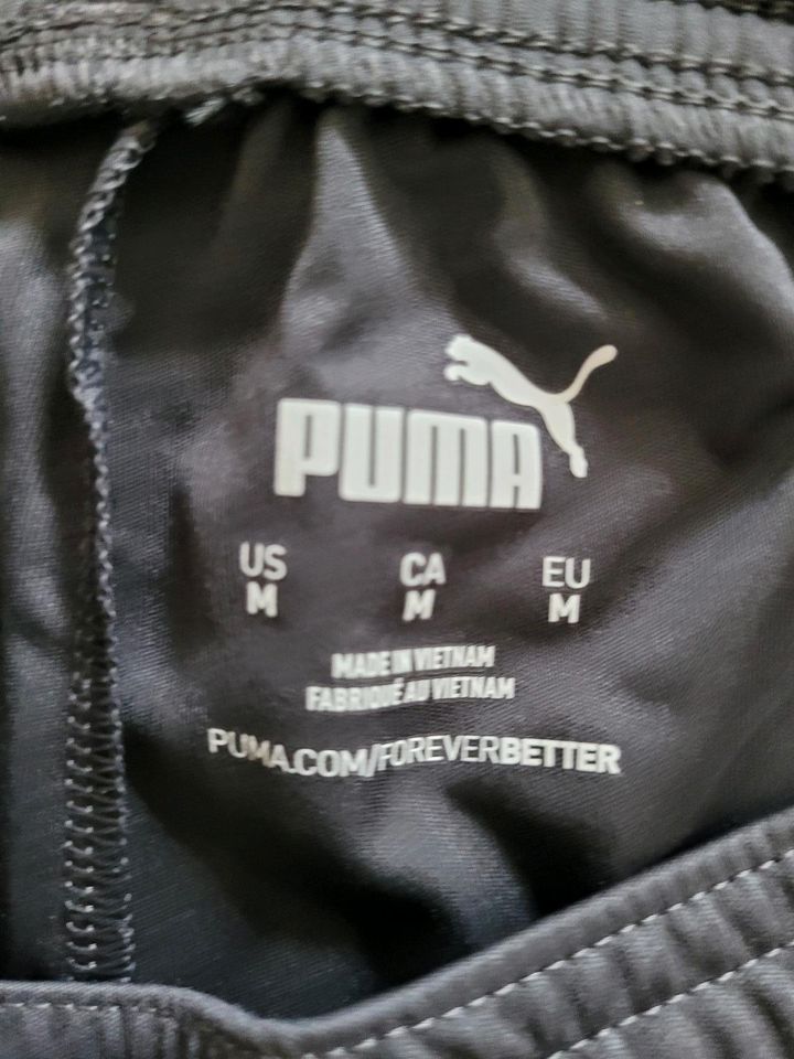 Puma Shorts in Frankenau