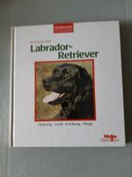 Labrador - Retriever  (  Rosemarie Wild ) Nordrhein-Westfalen - Hilden Vorschau