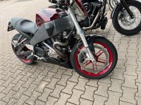 Buell XB 12 (Harley Davidson) Rheinland-Pfalz - Bernkastel-Kues Vorschau