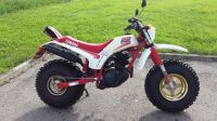 Suche Yamaha BW 200 350 Big Wheel Honda tr 200 fat cat Baden-Württemberg - Metzingen Vorschau