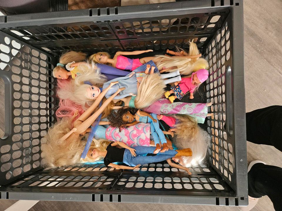 Barbie Spielsachen in Besigheim