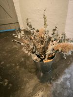 Getrocknete Blumen, Eukalyptus inkl. Eimer Elberfeld - Elberfeld-West Vorschau