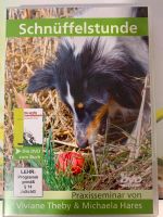 DVD Schnüffelstunde Praxis V. Theby Michaela Hares Nasenarbeit Brandenburg - Schipkau Vorschau