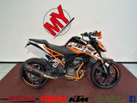 KTM 125 DUKE MY EDITION WIE NEU+SERVICE+V.ZUBEHÖR+HU Baden-Württemberg - Ravensburg Vorschau