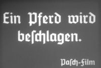 16mm Film Ein Pferd wird beschlagen 1935 Nordrhein-Westfalen - Menden Vorschau