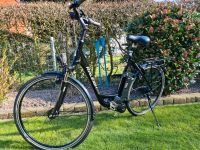 E-bike, Raleigh Niedersachsen - Oldenburg Vorschau