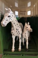 Schleich Set Stute mit Fohlen Knabstrupper Horse Club Bayern - Wiggensbach Vorschau