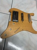 Fender strato pickguard mit Cover Pickups mit Versand Baden-Württemberg - Freiburg im Breisgau Vorschau