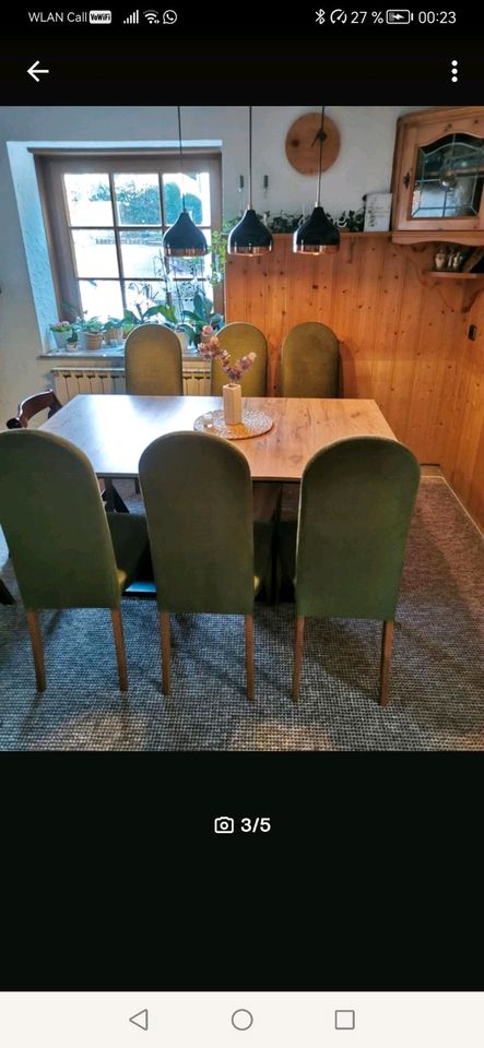 Esszimmerstühle grün samt, Retro, Vintage, Antik in Erdmannhausen