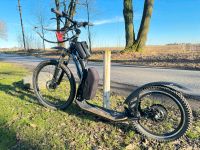 Dogscooter zum E-Dogscooter Umbauen Nordrhein-Westfalen - Gladbeck Vorschau