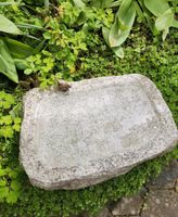 Granit Wasserbecken für unsere Singvögel Erfrischungsbad Garten Bayern - Ammerthal Vorschau