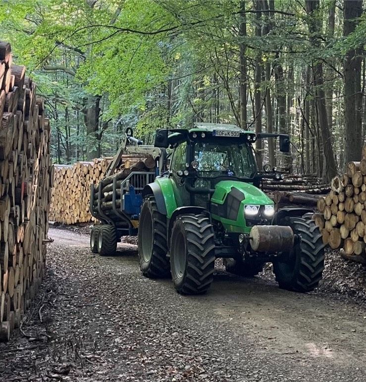 Stammholz Buche Brennholz Kaminholz inkl Lieferung in Bebra in Bebra