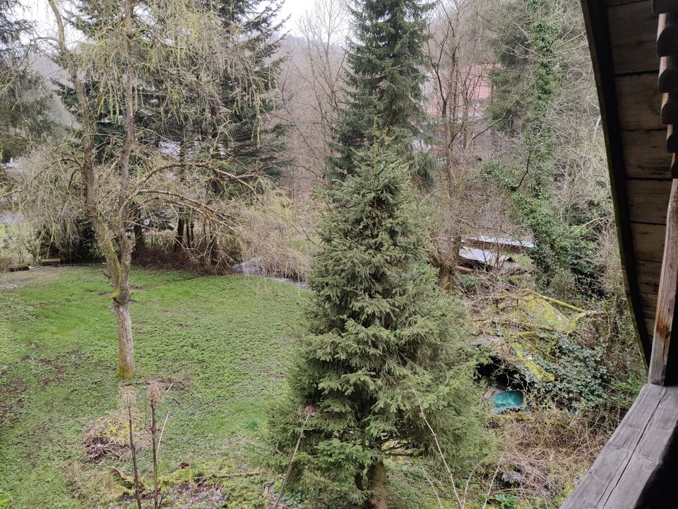 Großes naturbelassenes Grundstück in Sonneberg-Hüttensteinach in Sonneberg