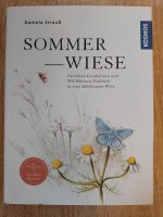 Sommerwiese Zwischen Grashalmen und Wildblumen: Einblick in eine Annaberg-Buchholz - Mildenau Vorschau