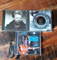 2 CDs von Bryan Adams 1 CD Santana Baden-Württemberg - Empfingen Vorschau