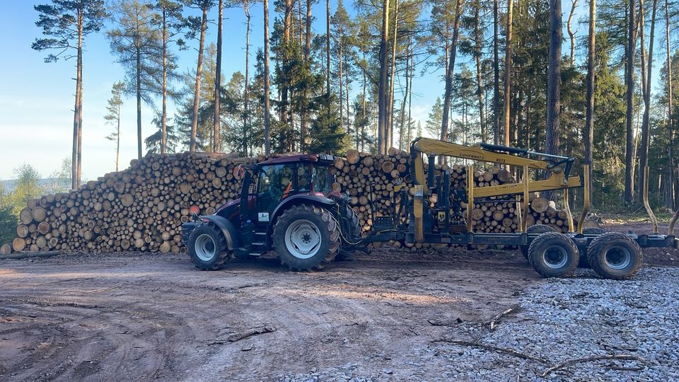 Sommer-Sonderpreis Brennholz Fichte Fichtenbrennholz in Suhl