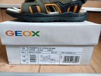 Geox Sandalen 28 Nordrhein-Westfalen - Ruppichteroth Vorschau